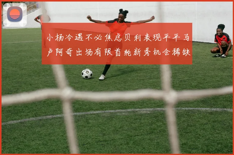 小杨冷遇不必焦虑贝利表现平平马卢阿奇出场有限首轮新秀机会稀缺
