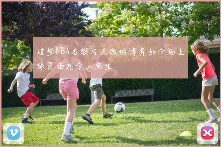追梦NBA名额与天赋的博弈如今场上球员面孔令人陌生
