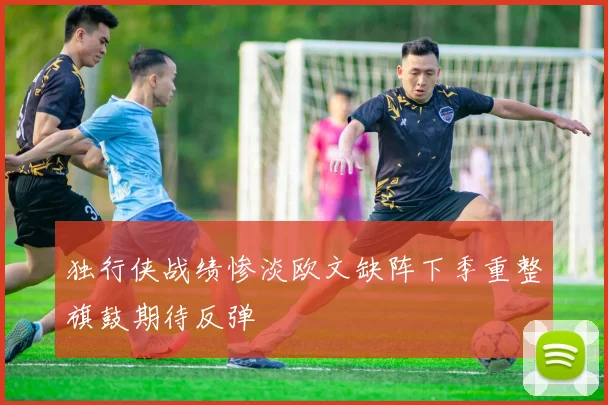 独行侠战绩惨淡欧文缺阵下季重整旗鼓期待反弹
