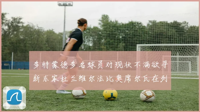 多特蒙德多名球员对现状不满欲寻新东家杜兰维尔法比奥席尔瓦在列