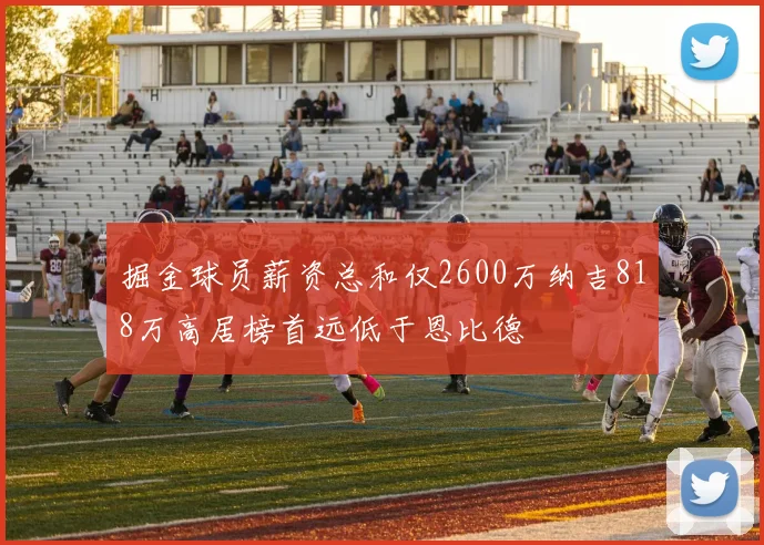 掘金球员薪资总和仅2600万纳吉818万高居榜首远低于恩比德